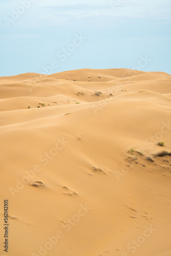 Bright blue cloudy sky over the yellow desert of Kyzylkum Kazakhstan