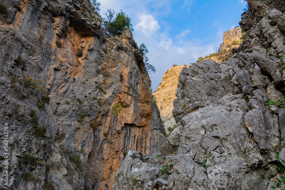 Rocky Mountains in Turkey. Vegetation on stone rocks. Detailed image of the mountainous terrain.