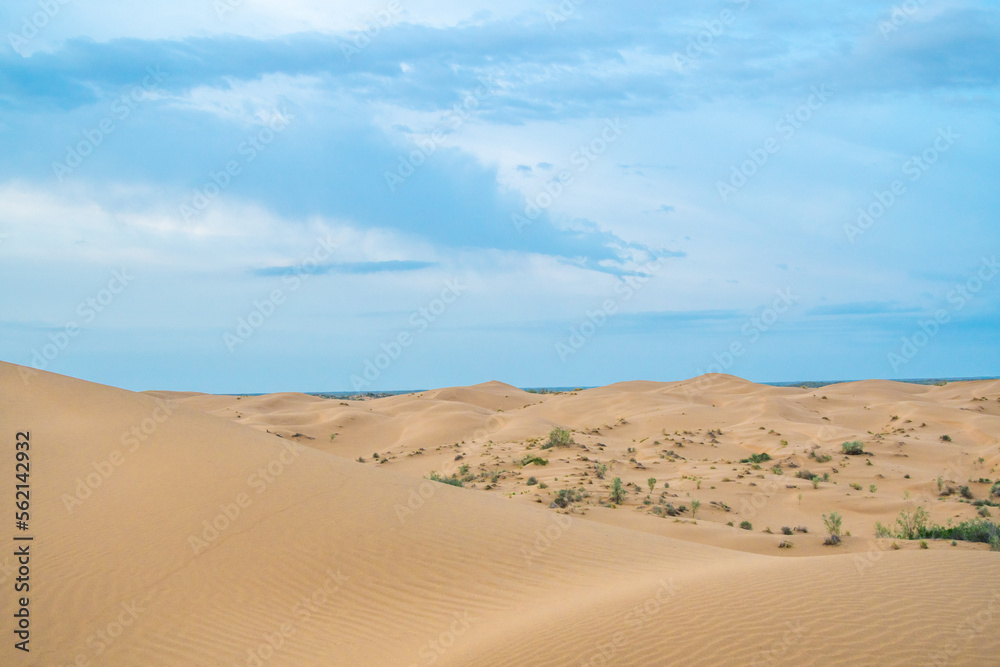 Bright blue cloudy sky over the yellow desert of Kyzylkum Kazakhstan