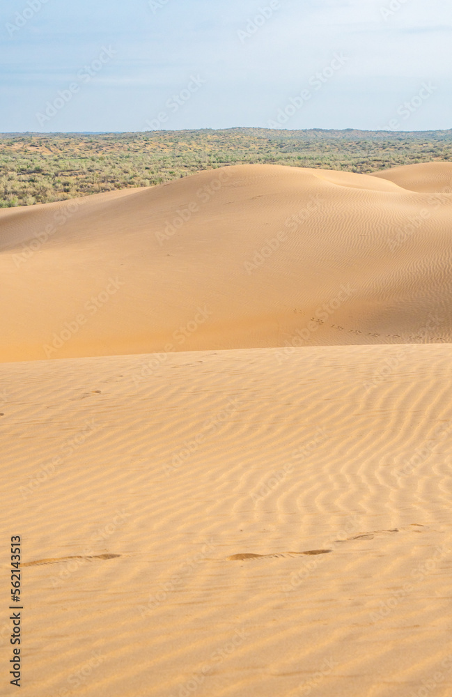 Sand dunes in the Kyzylkum desert Kazakhstan