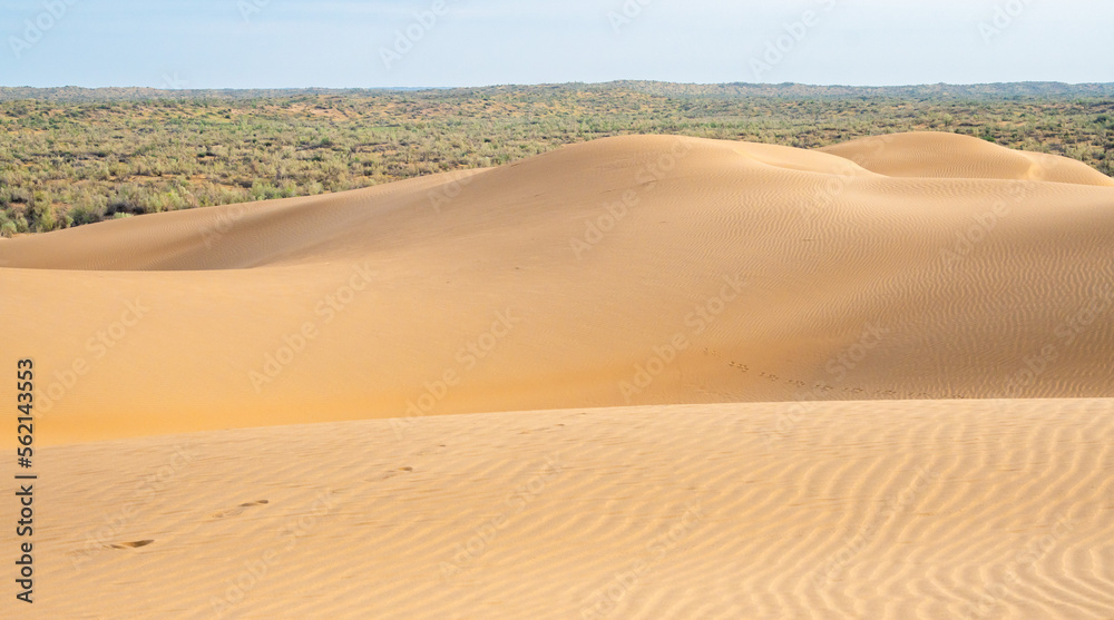 Sand dunes in the Kyzylkum desert Kazakhstan