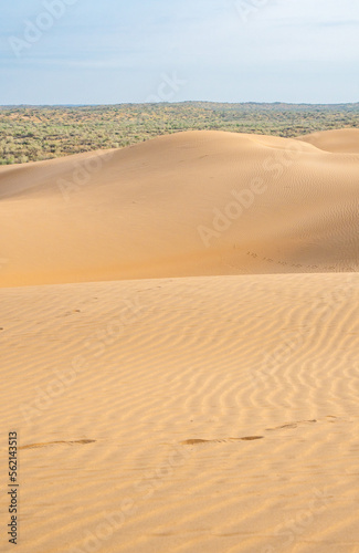 Sand dunes in the Kyzylkum desert Kazakhstan