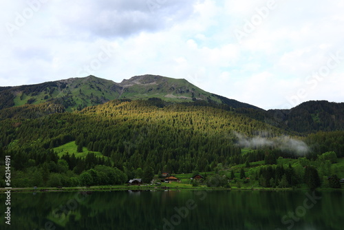 Viewpoint on the Plagnes lake which is located in Haute-Savoie in the municipality of Abondance