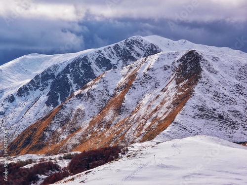 OLYMPUS DIGITAL CAMERA ITALY