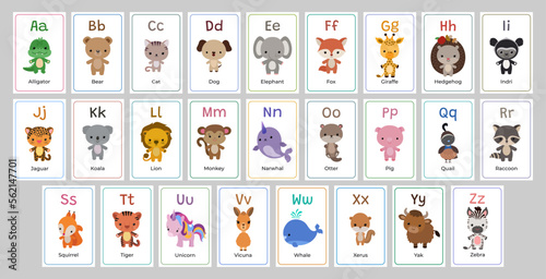 English alphabet flashcards with animals and letters. Cute animal flash card set. Kawaii style animal themed cards. Abc learning for school or preschool kids. Teacher resourses printable layout. photo