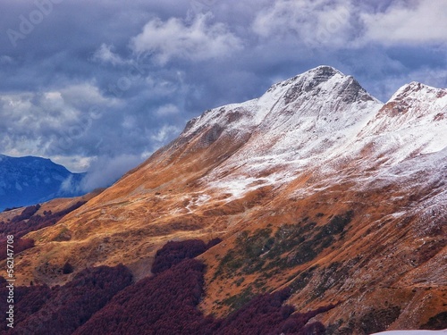 OLYMPUS DIGITAL CAMERA ITALY