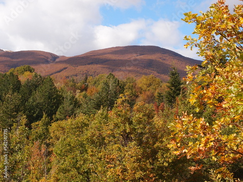 OLYMPUS DIGITAL CAMERA ITALY