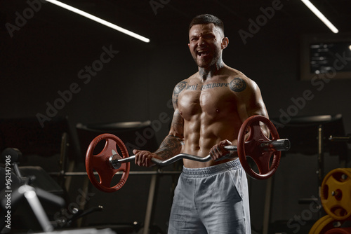 Portrait of young muscular man training shirtless in gym indoors. Lifting barbell exercise. Relief body shape. Concept of sport, workout, strength