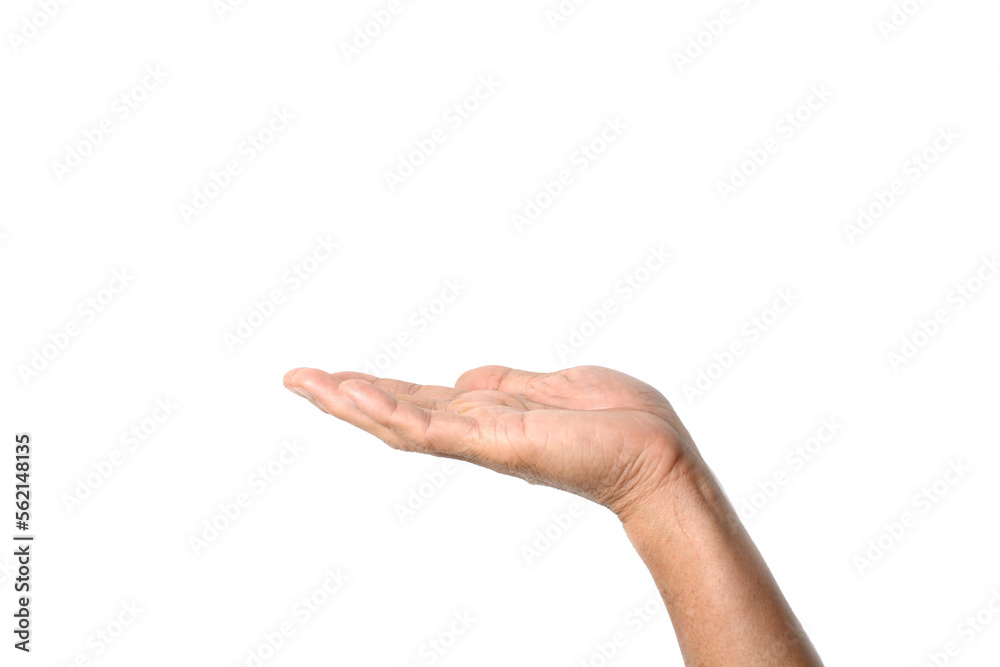 Empty hand holding isolated on the white background, with clipping path. Empty hand holding isolated on the white background, with clipping path.