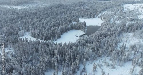 View from above of an cinematic unfrozen lake surrounded by a dense fairy tale forest, winter snowy weather. Winter Christmas muted tones drone footage