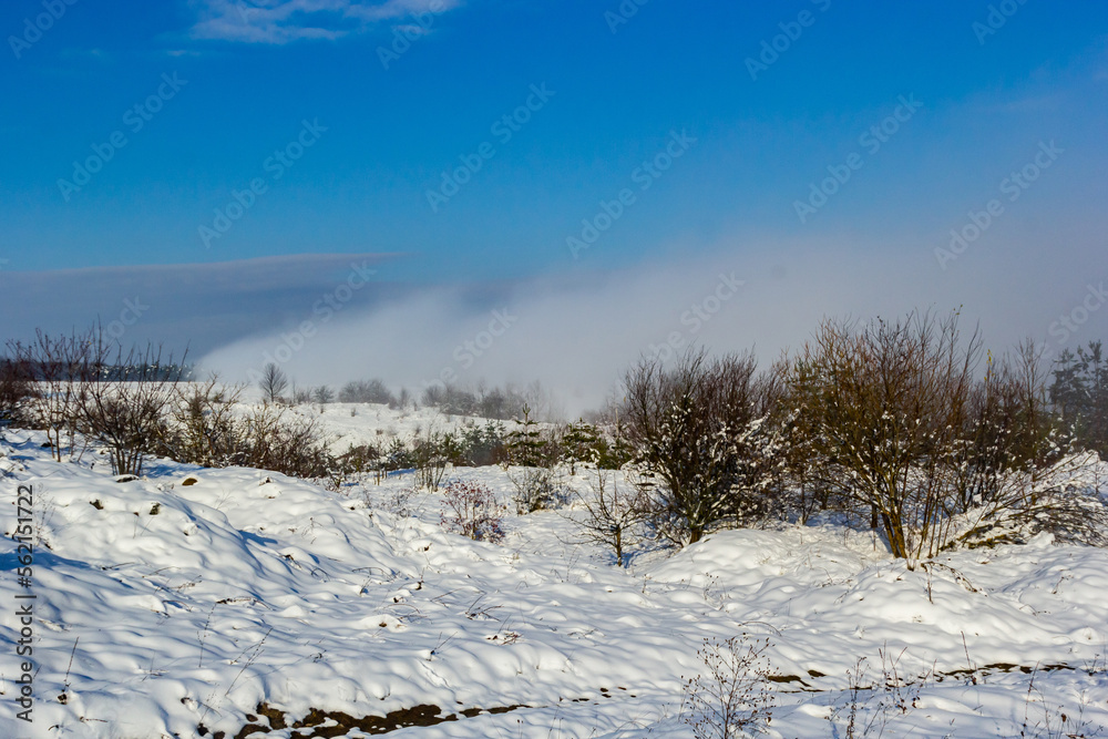 Beautiful winter landscape with snow-covered trees. Blue sky and textured snow. Winter's tale Beautiful winter landscape with snow-covered trees. Blue sky and textured snow. Winter's tale