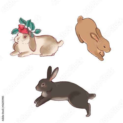 set of sketches of hares rabbits. hand drawing