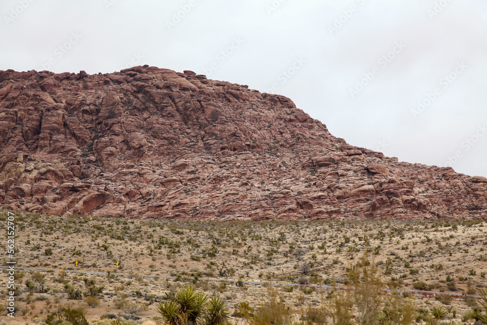 Fototapeta premium View of landscape red rock canyon national park at nevada,USA.