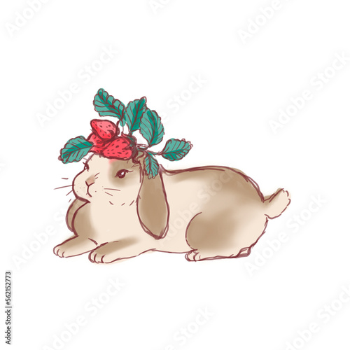 Sketch of bunny. Hand drawn 