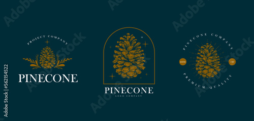 pine cone logo, badge and emblem design