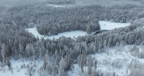 The drone descends between snow-covered fir trees to the thaw on the lake, a cinematic fabulous winter landscape. Winter Xmas muted tones cinematic footage