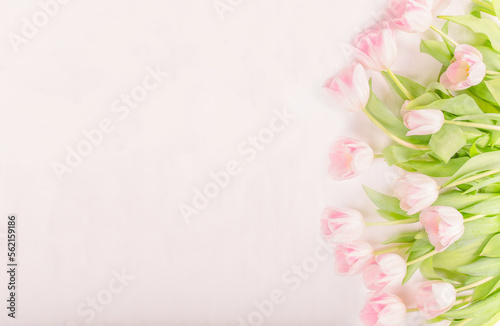 Mother's Day, St Valentine's Day Card. Tulip Flowers on Pink Pastel Background © Nataly Photography