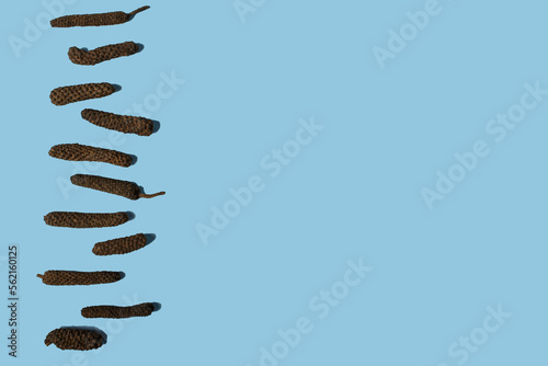Dry Indian long pepper . Piper Longum ,Piper retrofractum, Pippali, Long pepper. Pattern texture background. Top view.