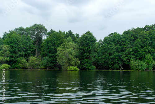 lake in the forest