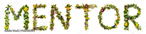 Fototapeta Naklejka Na Ścianę i Meble -  Blooming Flower Letters Building English Word Mentor