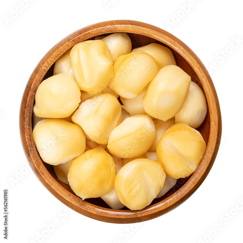 Mini spizzico of smoked scamorza, in a wooden bowl. Tiny morsels of Italian pasta filata, stretched curd cheese, with intense aroma and tawny, beige color, obtained through the smoke of wood shavings. photo