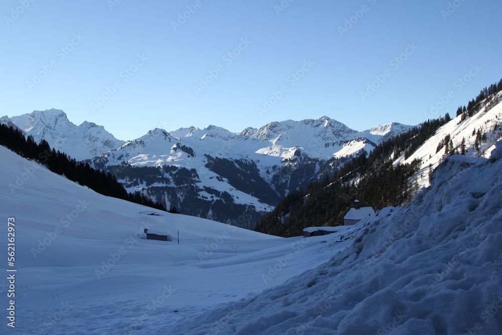 Landschaft in den Alpen im Winter