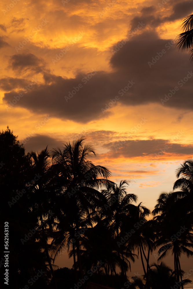 sunset in tropical countries
sunset in srilanka
beautiful sky
bright orange clouds
