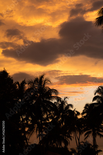 sunset in tropical countries sunset in srilanka beautiful sky bright orange clouds