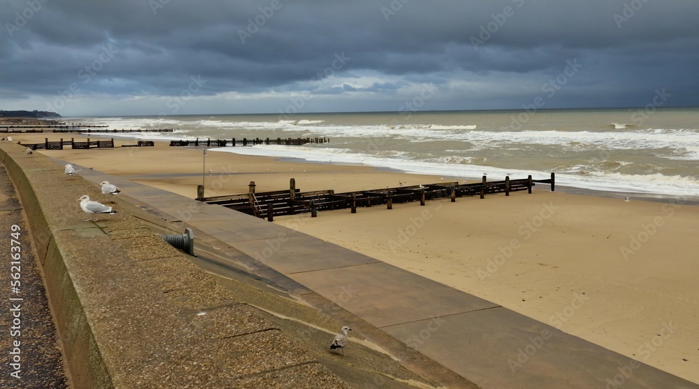 Fototapeta premium Stormy clouds over sandy beach