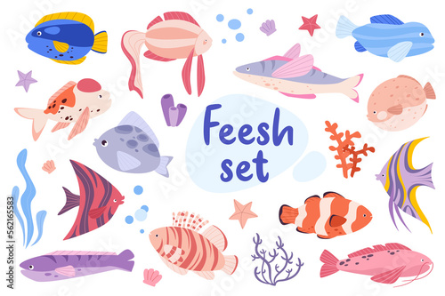 Fish isolated elements set in flat design. Bundle of colorful fishes in different types, starfishes and seaweeds. Cute seabed sea and ocean creatures and marine underwater plants.