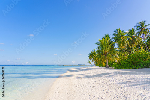 Fototapeta Naklejka Na Ścianę i Meble -  Palm trees on the Beautiful maldives tropical island - Panorama