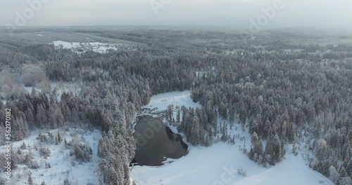 A bird's-eye view of a cinematic forest lake in a snowstorm. A drone rises above a winter forest in a snowfall. Winter Xmas muted tones drone footage
