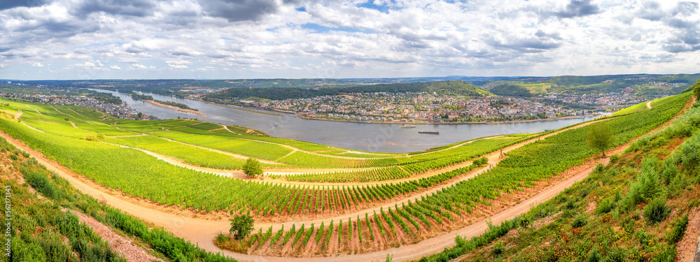 Fototapeta premium Blick über Rüdesheim am Rhein, Rheingau, Deutschland 