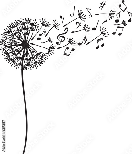 Dandelion with music notes on white background