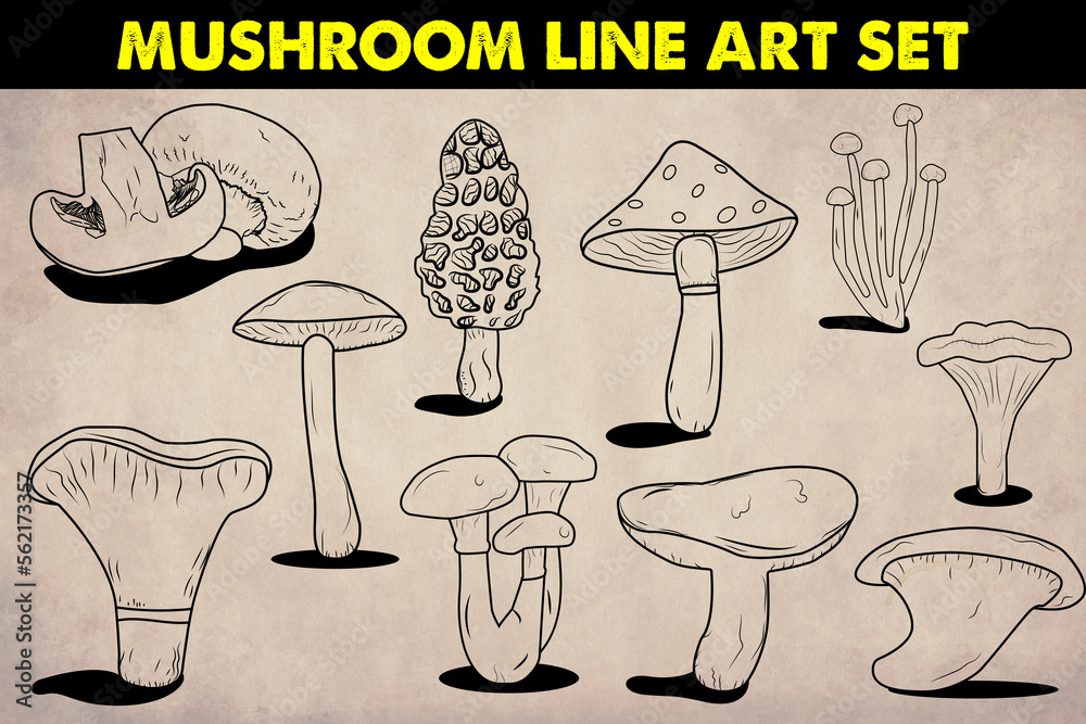 mushroom line art vactor mushroom line art set mushroom line art illstration mushroom line art vactor mushroom line art set mushroom line art illstration