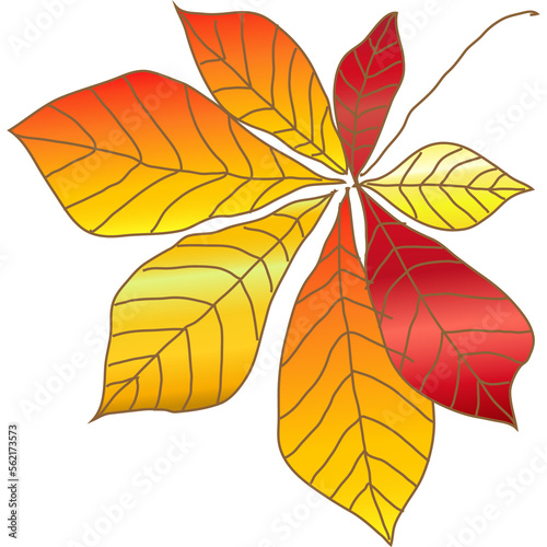  colorful autumn leaves Chestnut, maple, oak, birch, aspen, etc. © MichiruKayo