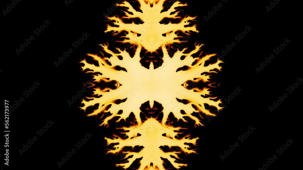 Abstract Ink Paint Spread Mirror Illusion Abstract Ink Paint Spread Mirror Illusion