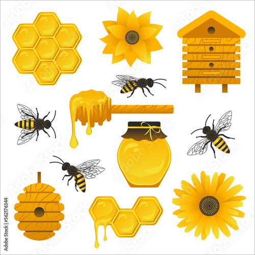 Honey elements collection. Set of beekeeping colorful icons. Bees, honeycomb, jar of honey, beehives, honey dipper and flowers element for label, banner, pattern and more.