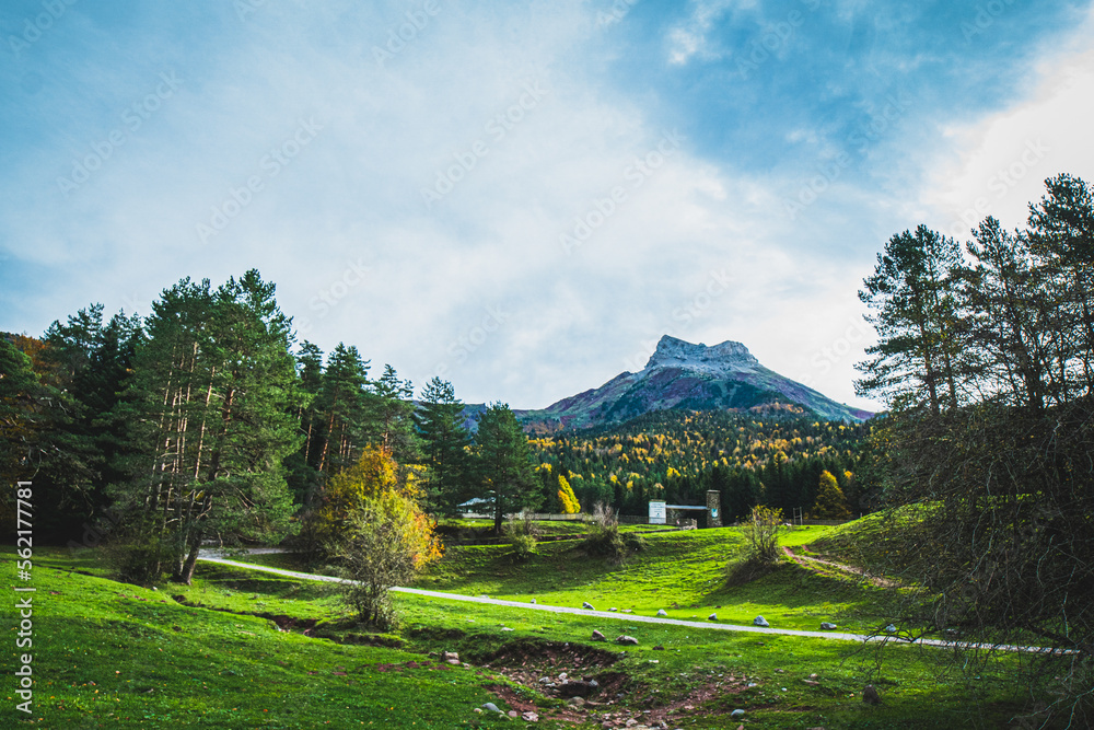 Ruta por la selva de Oza y el valle de Zuriza. La recogida de setas es