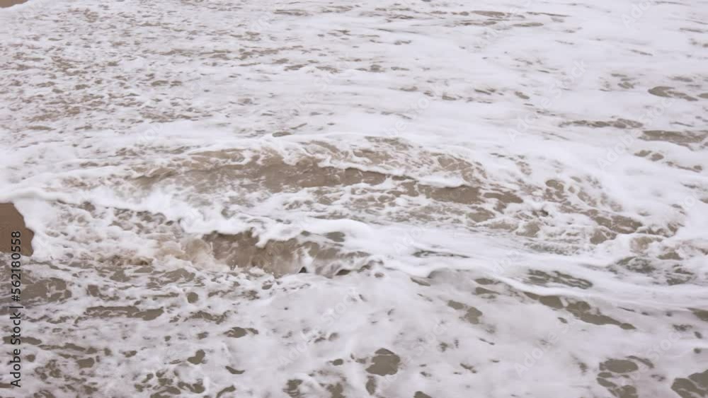 The waves of the ocean crash against the sandy beach. On the beach many seagulls walk freely. The waves of the ocean crash against the sandy beach. On the beach many seagulls walk freely.