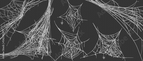 Cobweb collection isolated on black. Spider web for Halloween design. Spider web elements, spooky, scary, horror halloween decor. Hand drawn silhouette, vector illustration