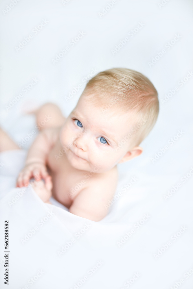 baby girl 6 month 7 month blonde girl baby girl 6 month 7 month blonde girl