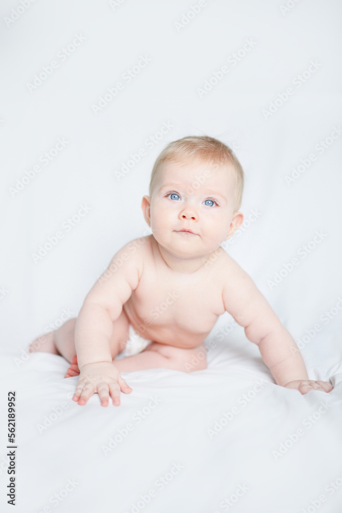 baby girl 6 month 7 month blonde girl baby girl 6 month 7 month blonde girl