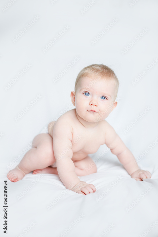baby girl 6 month 7 month blonde girl baby girl 6 month 7 month blonde girl