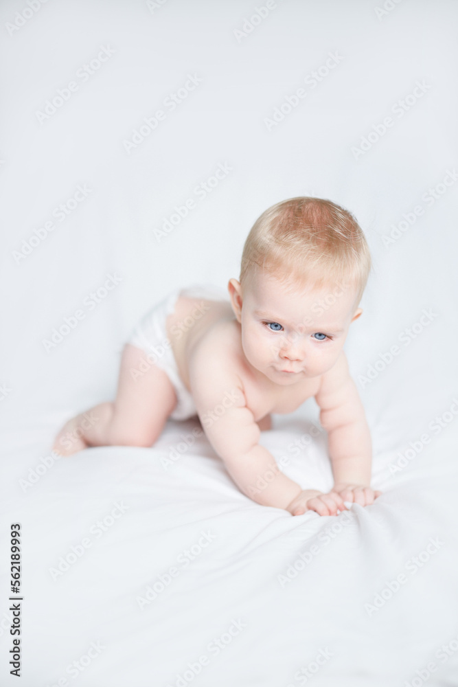 baby girl 6 month 7 month blonde girl baby girl 6 month 7 month blonde girl