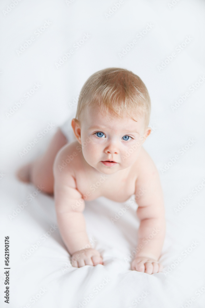 baby girl 6 month 7 month blonde girl baby girl 6 month 7 month blonde girl