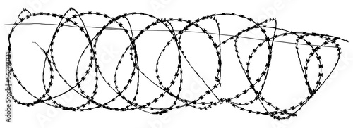 Coils of razor wire as used in detainment camps and prisons and borders is isolated and transparent to be used as a graphic resource. photo