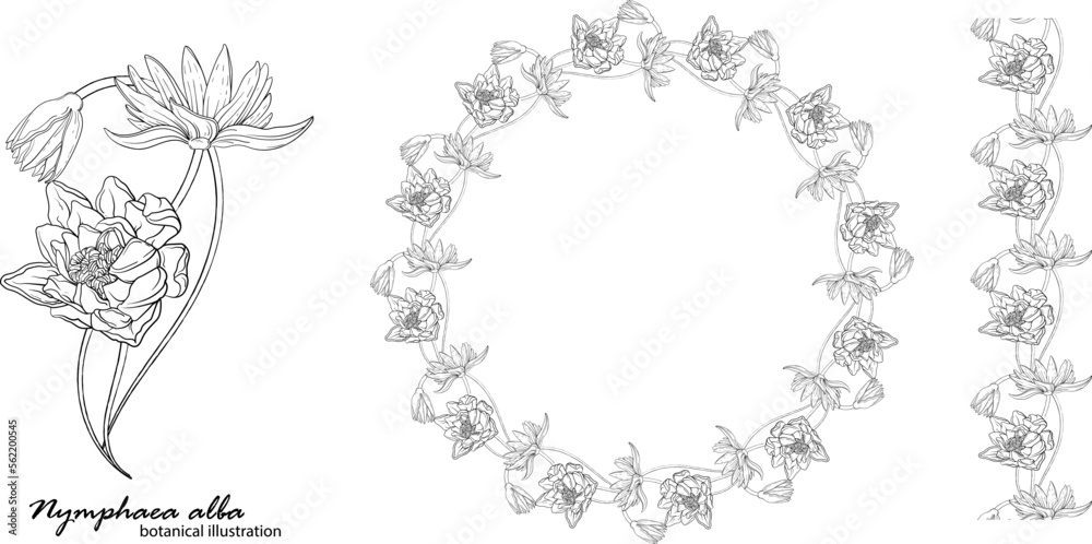 Floral vector wreath with lily flowers. Floral Floral vector wreath with lily flowers. Floral