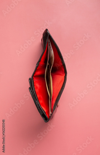 The concept of the reproductive organs of a woman, the vagina in the form of an open wallet with money