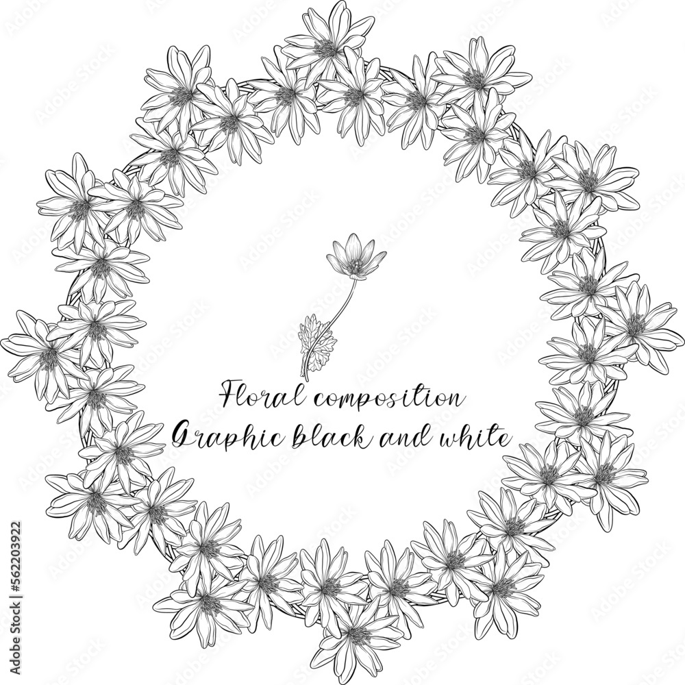 A set of graphic floral compositions with black and white delicate flowers